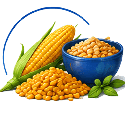 مواداولیه خوراک (ذرت/سویا/جو و گندم /پودر گوشت و ...)