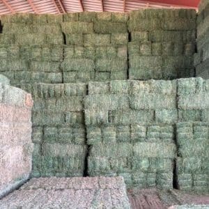 فروش یونجه خشک