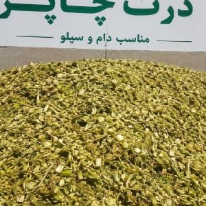 ذرت چاپر | آماده فروش