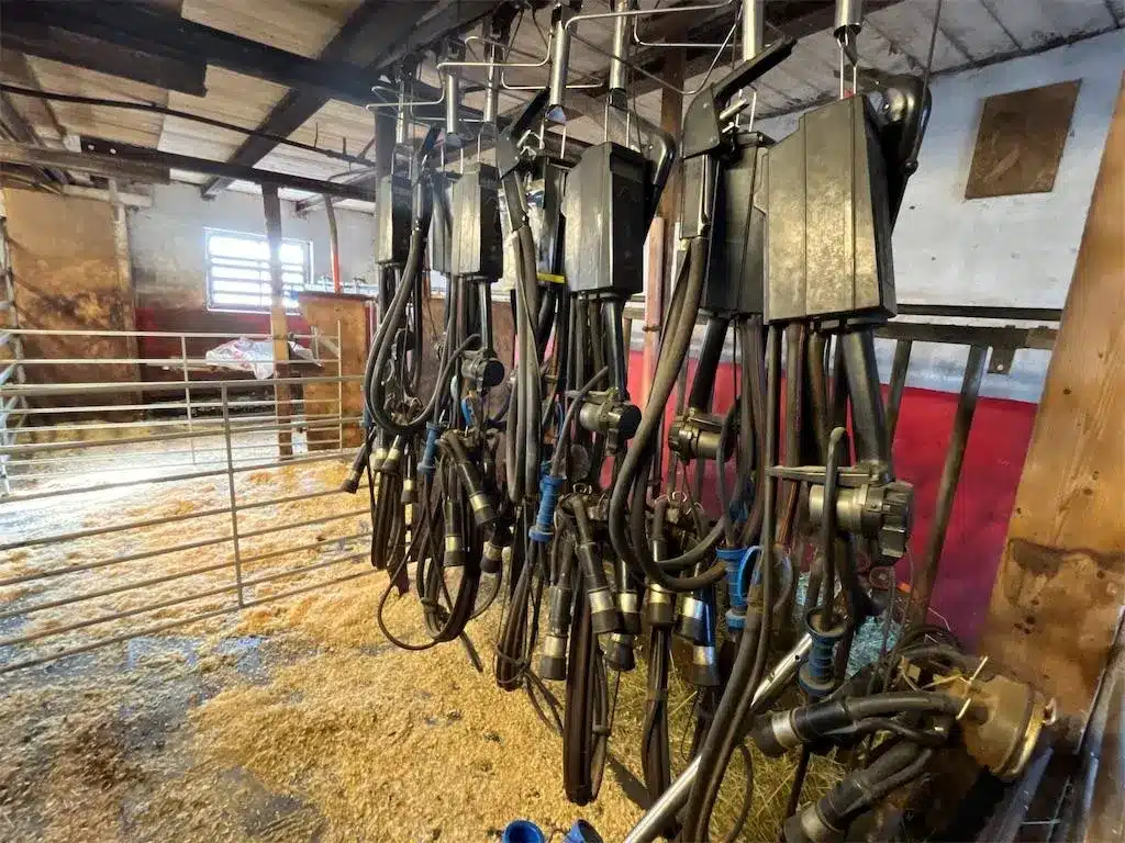 چطور یک آگهی با بازدهی بالا در دام لینک منتشر کنیم؟ 3 milking machine