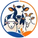 animal-category-icon